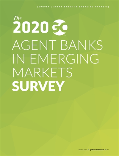 Agent Banks in Emerging Markets 2020